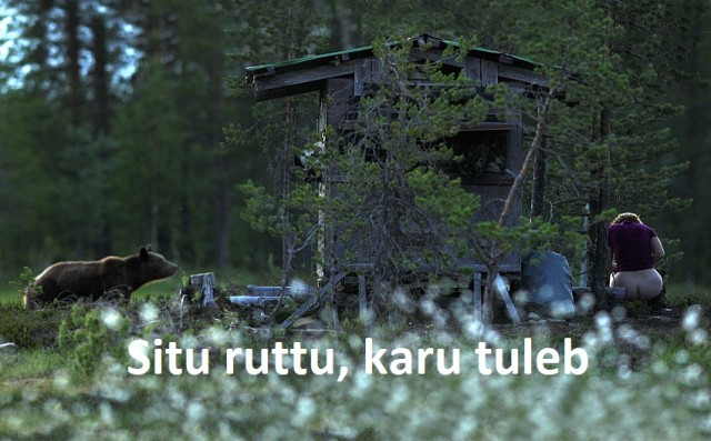 Прилетает СМС...