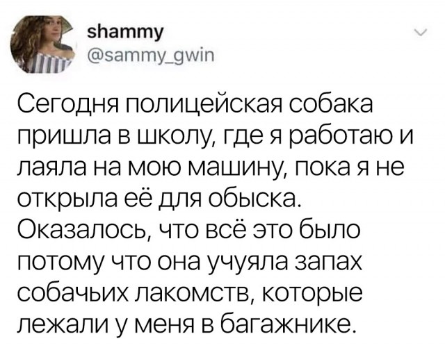 Так себе картинки 09.05.22