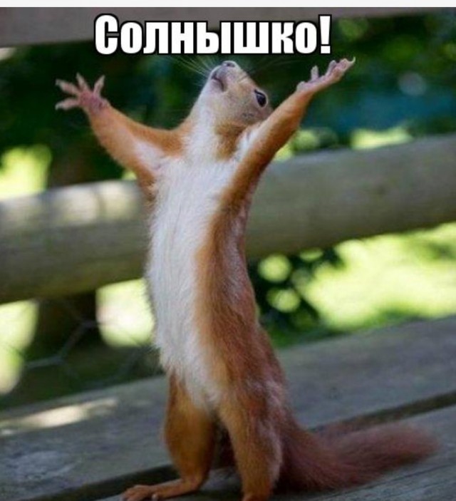 «Чё вам, бабам, надо?» Баба ответила...