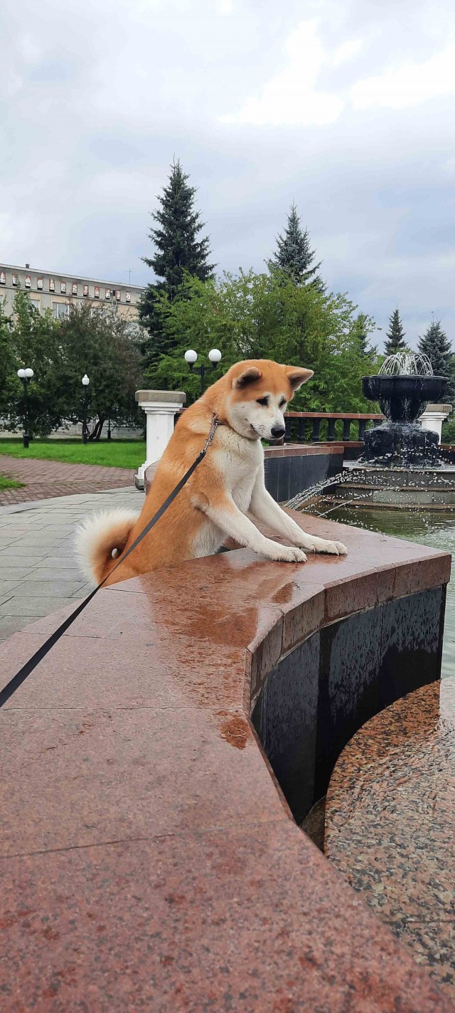 Какое последнее фото у вас в телефоне?