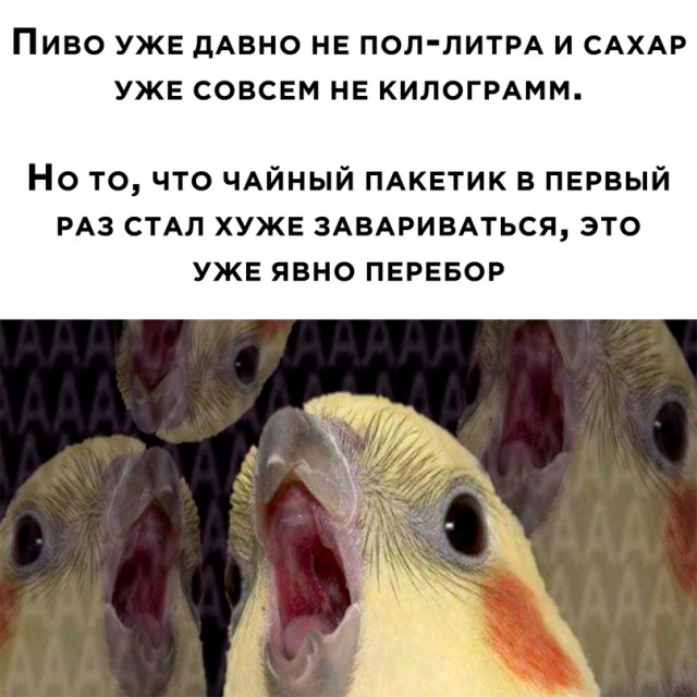 Картинки и мемы, всем хороших выходных