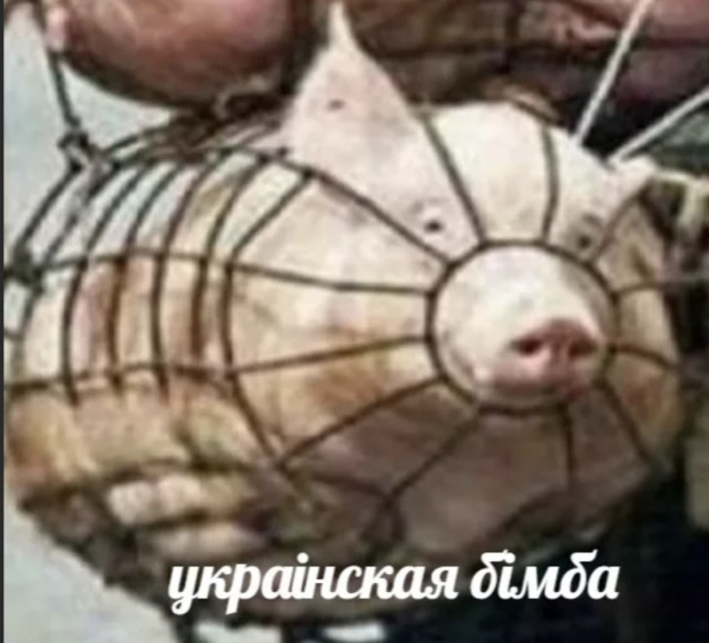 Ударный БПЛА ВСУ