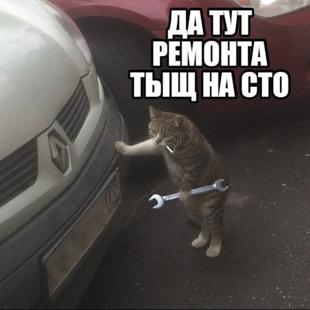 Придется Милаху как работника оформлять!