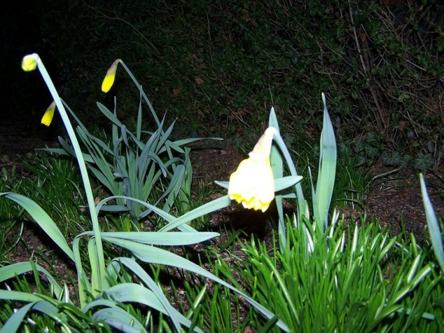 Весна и Пушкин