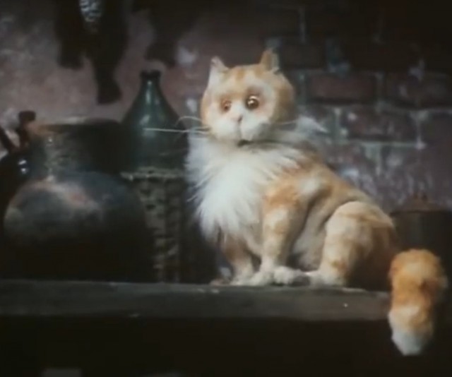 К котовторнику