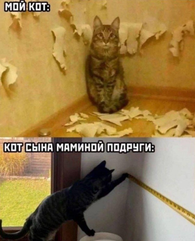 Одна пикча