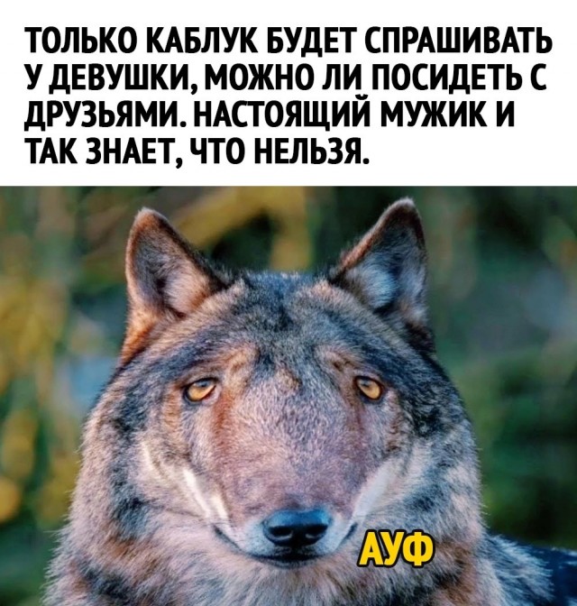 Подкаблучники