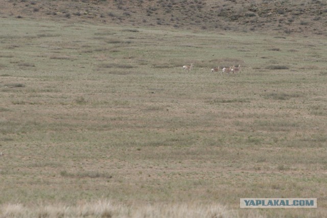 В Монголию на мотоциклах 2006