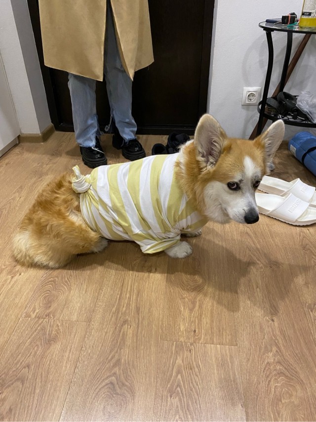 Хороший мальчик