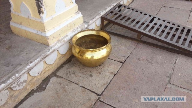 Невероятное приключение!