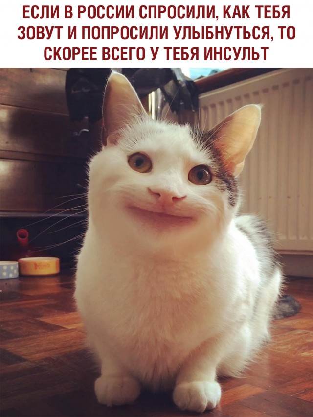 Немного картинок и прочей хреноты Vol. 24
