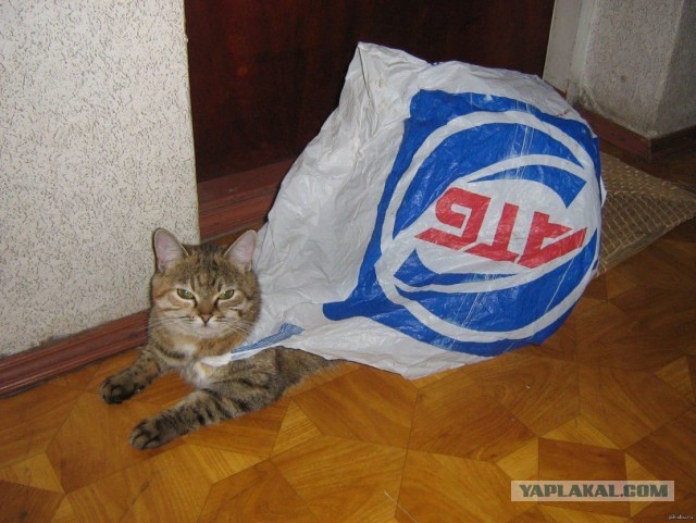Гость из прошлого