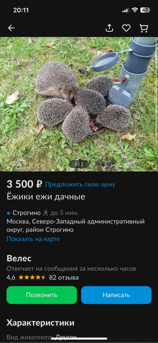Не пыльная работенка