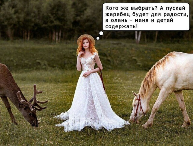 Почему так?