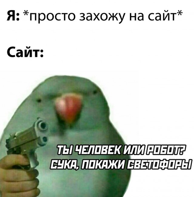 Так себе картинки 27.09.2023