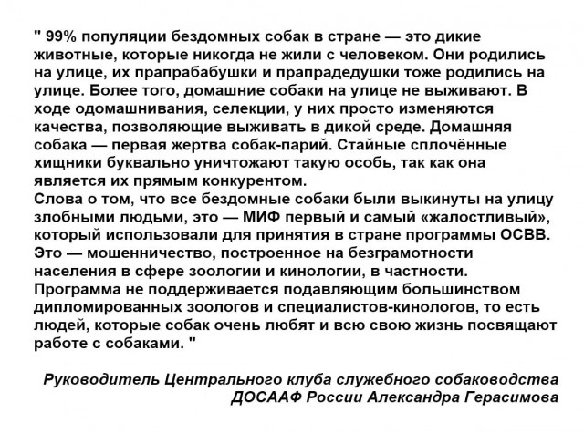 В Забайкалье поддержали проект об эвтаназии бездомных животных
