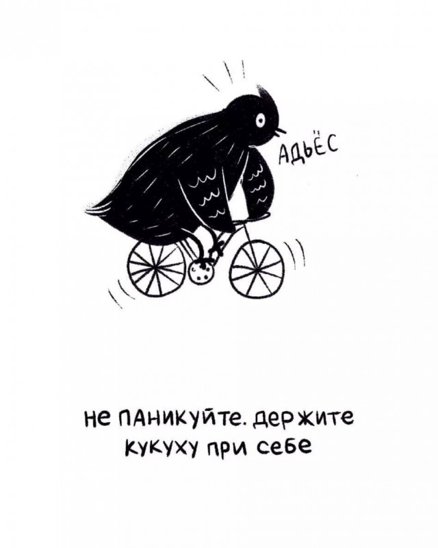 Довыёживался