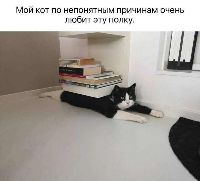 Так себе картинки 21.04.24