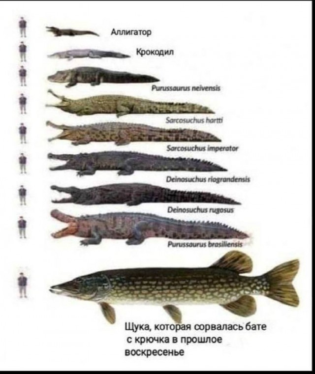 Всего понемногу. От 20.10