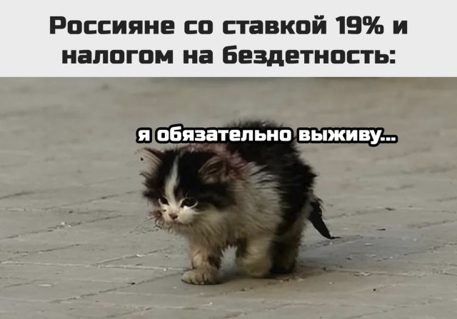 Налог на бездетность: 30−40 тысяч драть не будут. Хитрость в другом