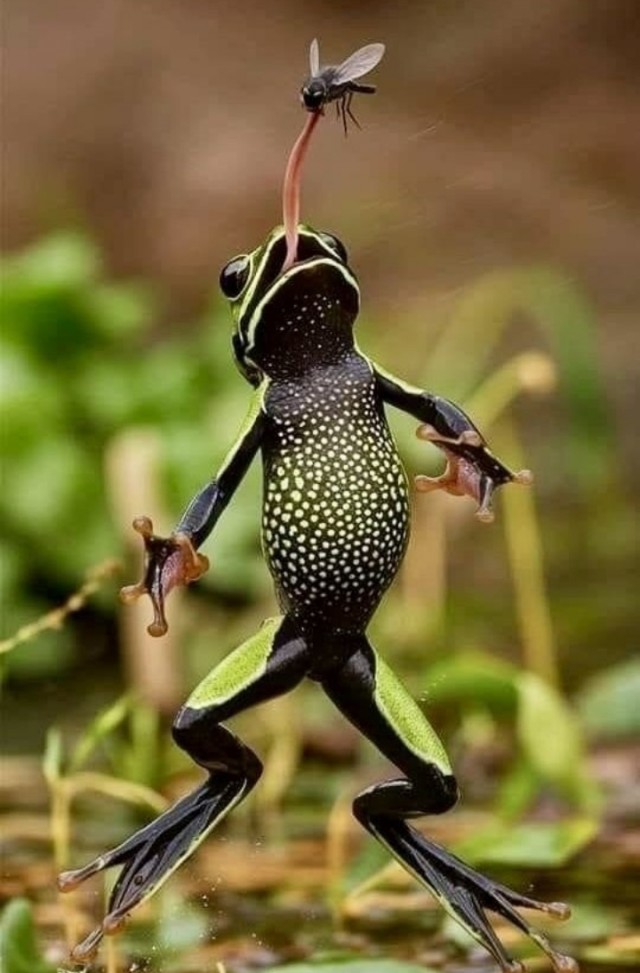 Фото Рулетка - 50