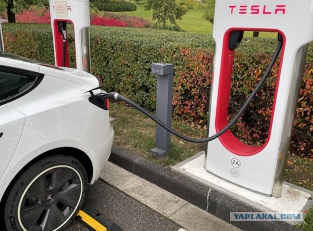 Teslaздуны в ожидании своей очереди