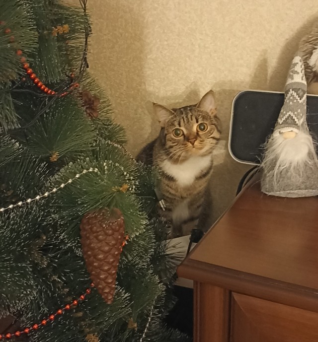Ну-с, с наступившим староновогодним котовторником