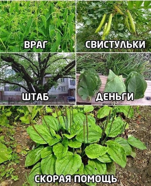 Так всякие картинки 02 05