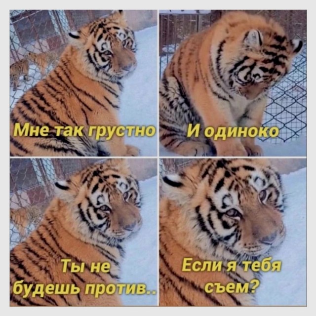 Юмор и порой философия в картинках с буквами за вторник