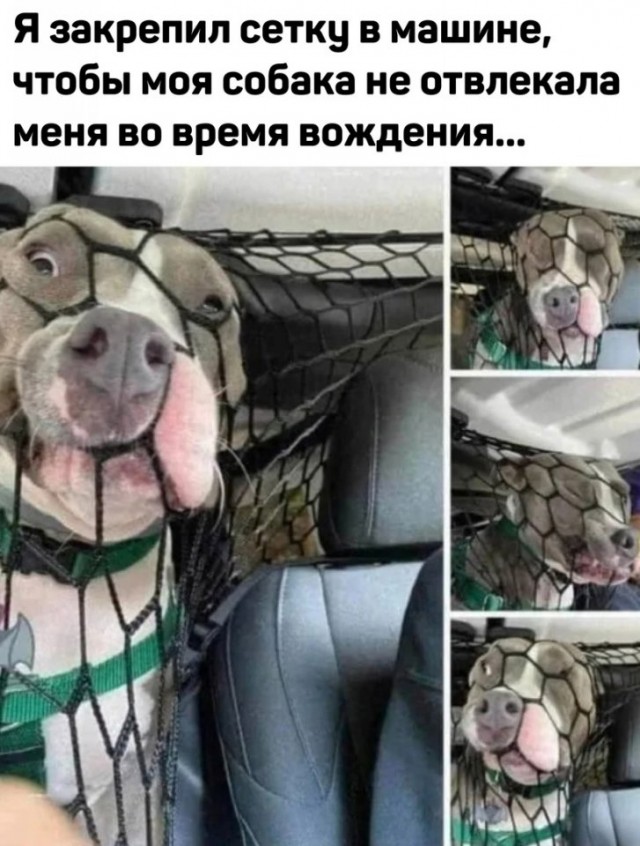 Так себе картинки 31.05.25