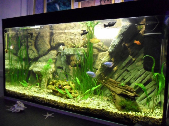 Самодельный объемный фон в аквариум