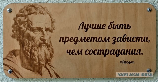 Проект "Голые стены"