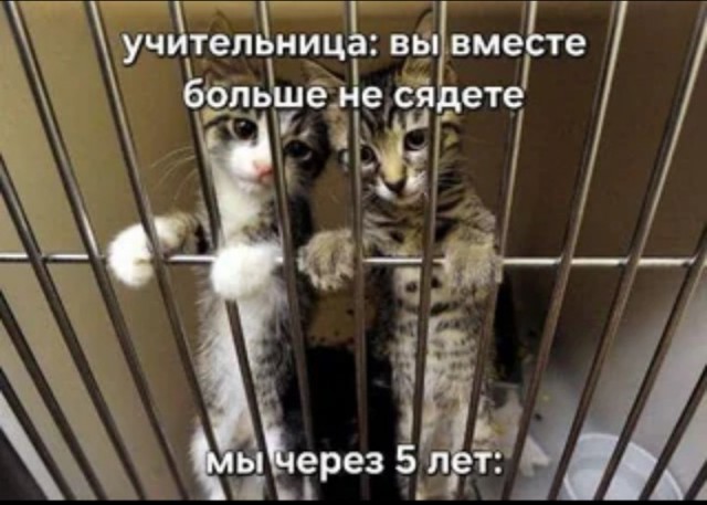 Пришло время!