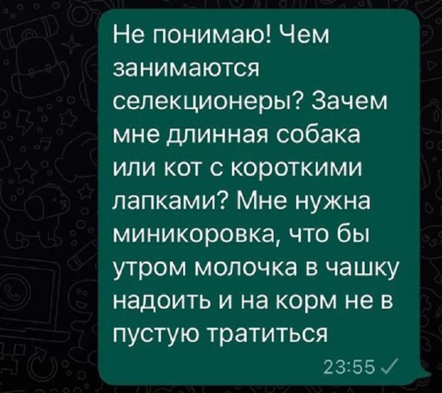 Так себе картинки 13.07.25