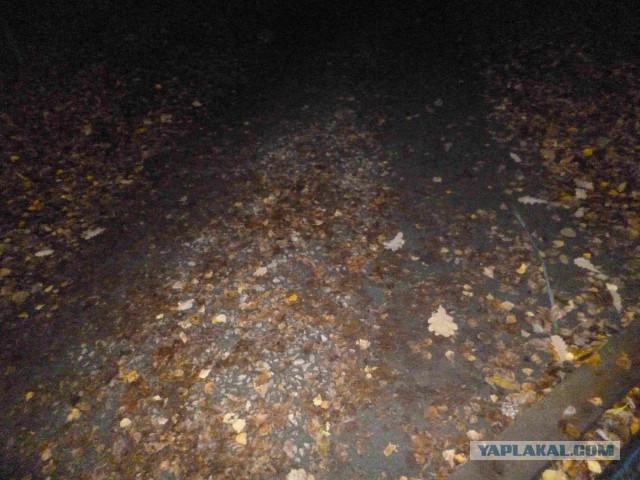 Чем может закончиться вечерняя пробежка