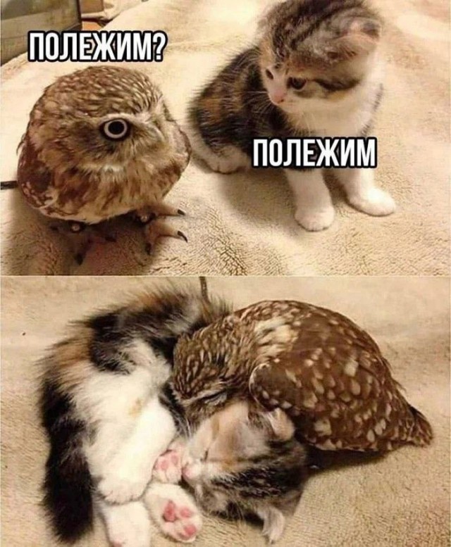 Вторник . Немного картинок
