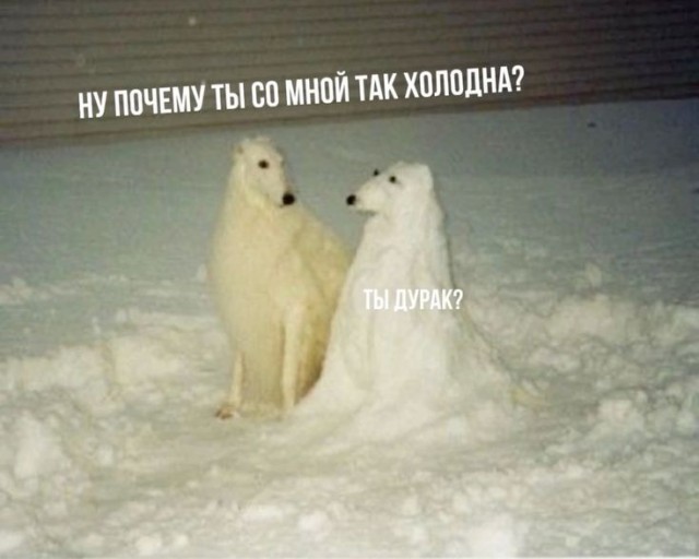 Сундук деграданта! Выпуск номер 12!