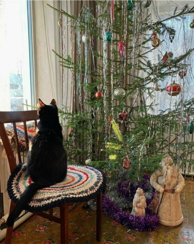 Сегодня за моим окном зима
