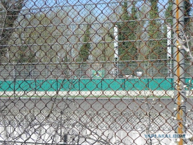 Памяти Айртона Сенны