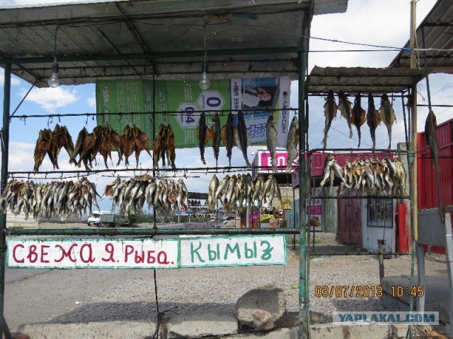 Отдых в Киргизии.