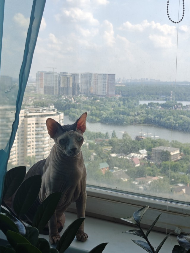 Мой афобазол