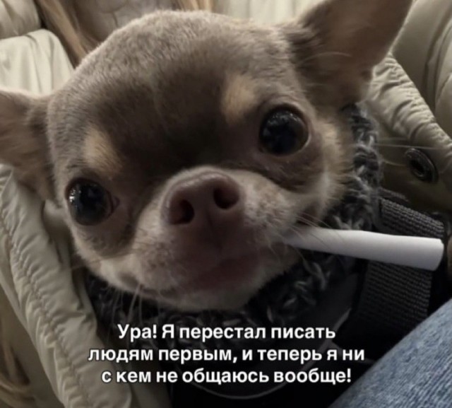 Так себе картинки 29.07.26