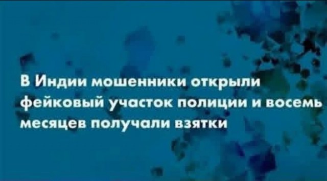 Вот это я понимаю, бизнес!