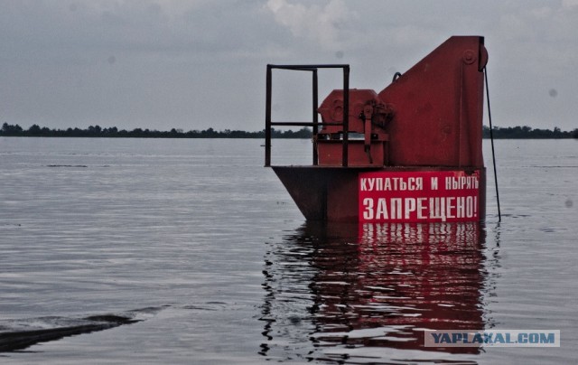 На Благовещенск идет волна?