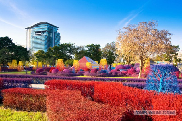 28 самых удачных кадров февраля