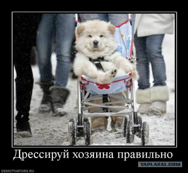 Крым, Евпатория, 29.03.2014