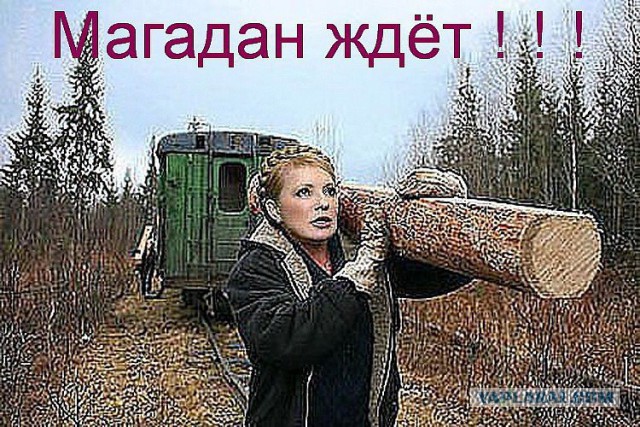 Обращение Тимошенко к ЕС и США