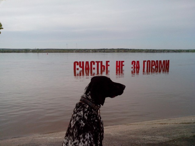 Собакочетверг (11 09 2014)
