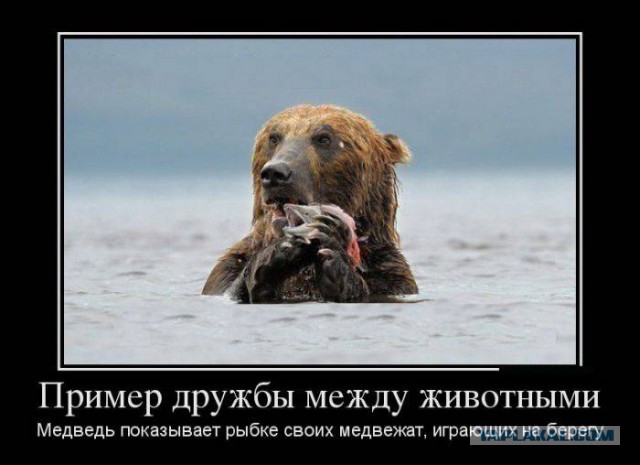 Веселые картинки