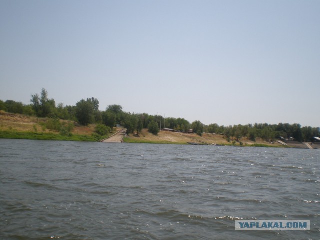 р.Ахтуба июль
